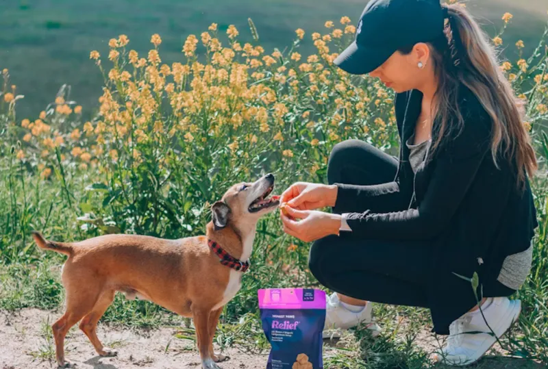 Bekvämlighet eller stil Vilket är mest viktigt