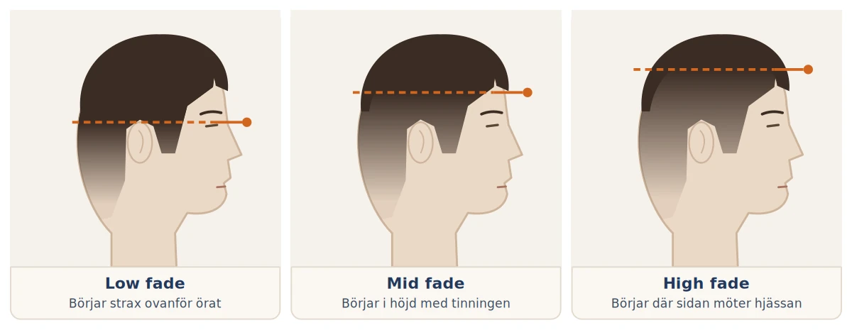 Illustration av tre huvuden i profil som visar var övergången börjar i en low fade, mid fade och high fade