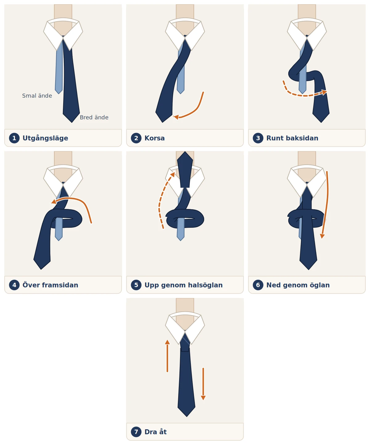 Illustration i sju steg som visar hur man knyter en slips med knuten four-in-hand