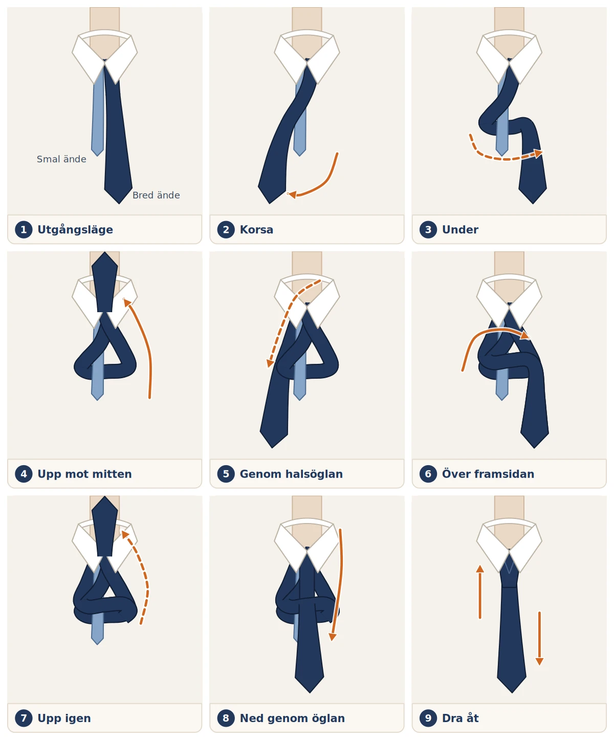 Illustration i nio steg som visar hur man knyter en slips med knuten halv windsor
