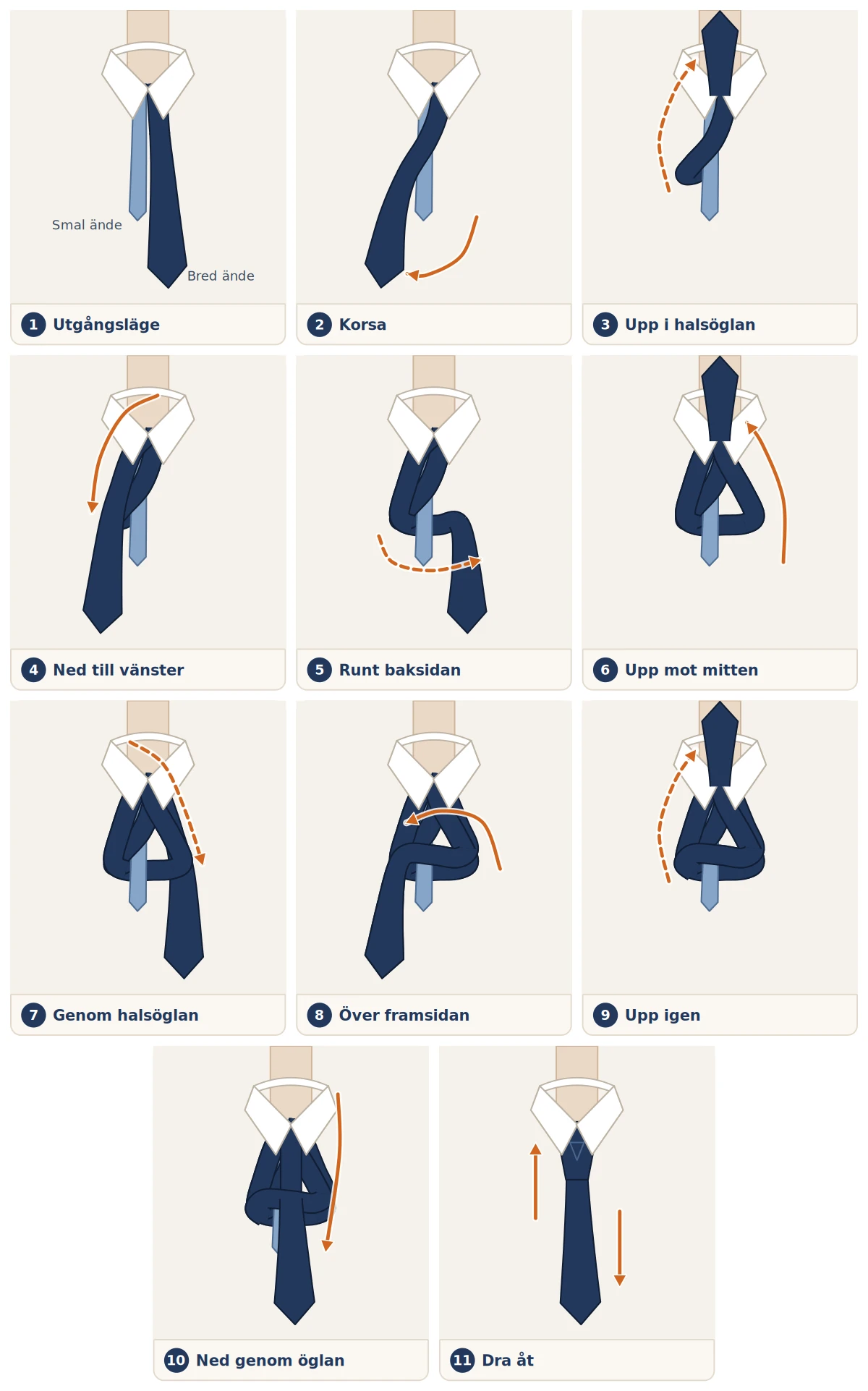 Illustration i elva steg som visar hur man knyter en slips med windsorknuten